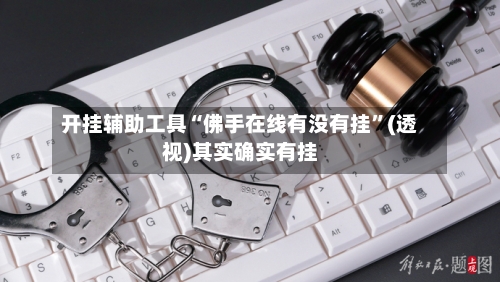 开挂辅助工具“佛手在线有没有挂”(透视)其实确实有挂-第2张图片