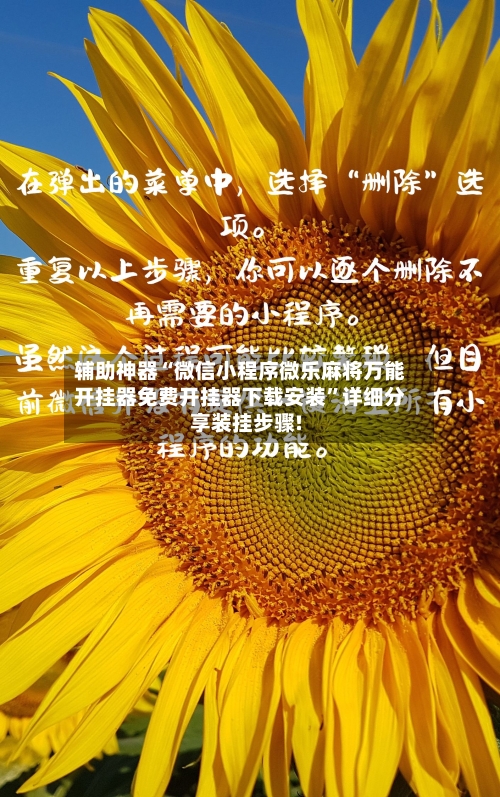 辅助神器“微信小程序微乐麻将万能开挂器免费开挂器下载安装”详细分享装挂步骤!