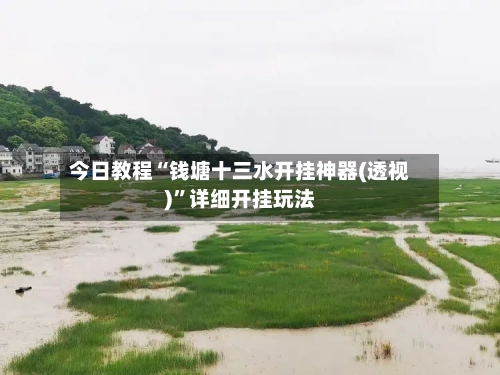 今日教程“钱塘十三水开挂神器(透视)”详细开挂玩法-第3张图片