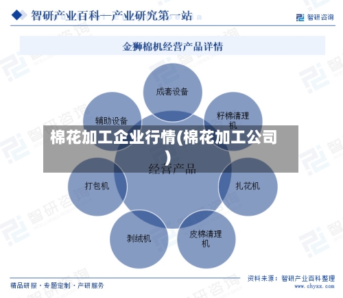棉花加工企业行情(棉花加工公司)