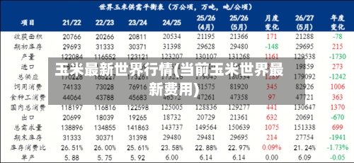 玉米最新世界行情(当前玉米世界最新费用)-第3张图片