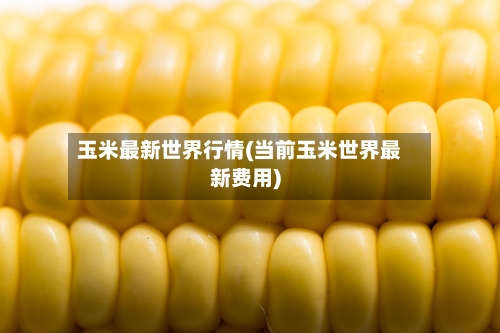 玉米最新世界行情(当前玉米世界最新费用)