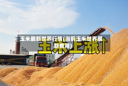 玉米最新世界行情(当前玉米世界最新费用)-第2张图片
