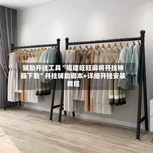 辅助开挂工具“福建旺旺麻将开挂神器下载”开挂辅助脚本+详细开挂安装教程-第3张图片