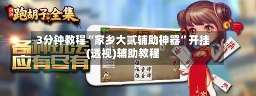 3分钟教程“家乡大贰辅助神器”开挂(透视)辅助教程