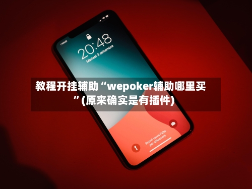 教程开挂辅助“wepoker辅助哪里买	”(原来确实是有插件)-第2张图片