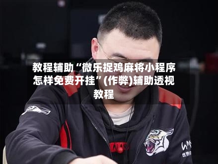 教程辅助“微乐捉鸡麻将小程序怎样免费开挂”(作弊)辅助透视教程-第2张图片