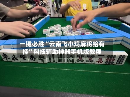 一键必胜“云南飞小鸡麻将给有挂”科技辅助神器手机版教程-第3张图片