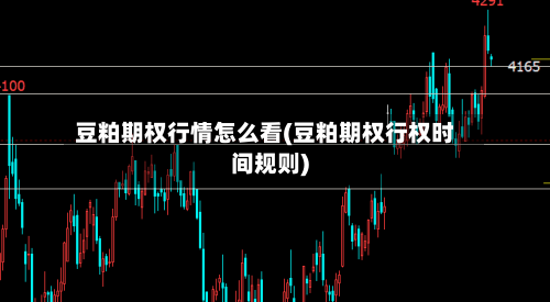 豆粕期权行情怎么看(豆粕期权行权时间规则)