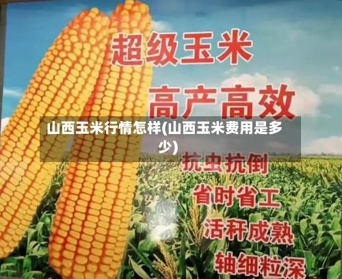 山西玉米行情怎样(山西玉米费用是多少)-第2张图片