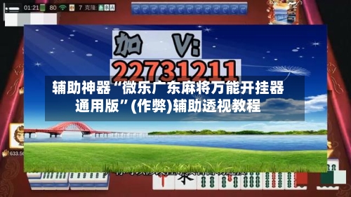 辅助神器“微乐广东麻将万能开挂器通用版	”(作弊)辅助透视教程-第3张图片