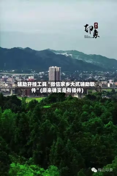 辅助开挂工具“微信家乡大贰辅助软件”(原来确实是有插件)-第2张图片