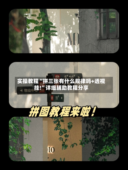 实操教程“拼三张有什么规律吗+透视挂!”详细辅助教程分享-第2张图片
