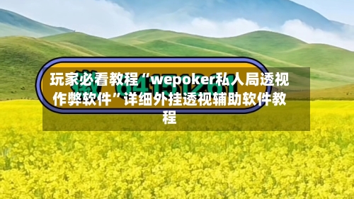 玩家必看教程“wepoker私人局透视作弊软件	”详细外挂透视辅助软件教程-第2张图片