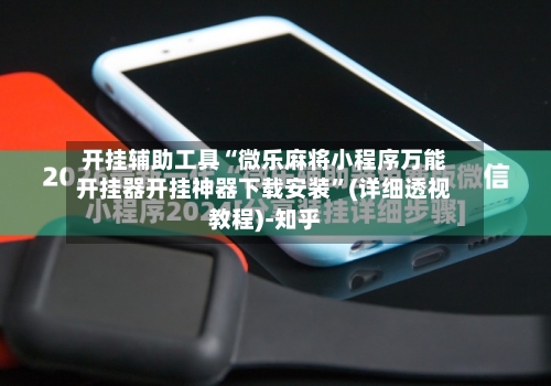 开挂辅助工具“微乐麻将小程序万能开挂器开挂神器下载安装”(详细透视教程)-知乎-第3张图片