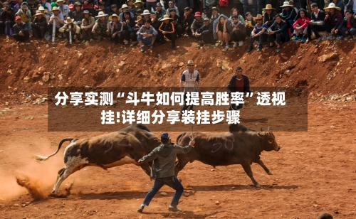 分享实测“斗牛如何提高胜率”透视挂!详细分享装挂步骤-第2张图片