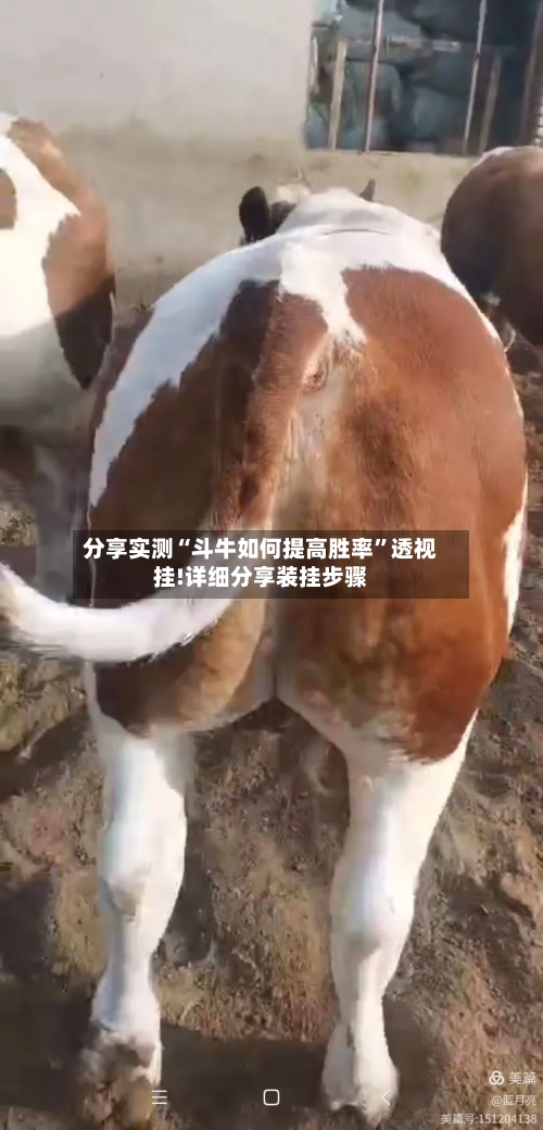 分享实测“斗牛如何提高胜率	”透视挂!详细分享装挂步骤-第3张图片