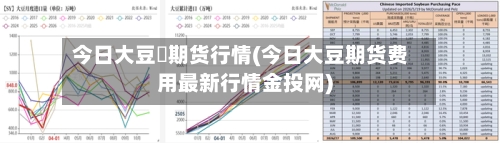 今日大豆沖期货行情(今日大豆期货费用最新行情金投网)