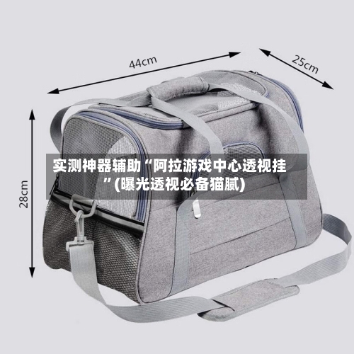 实测神器辅助“阿拉游戏中心透视挂”(曝光透视必备猫腻)