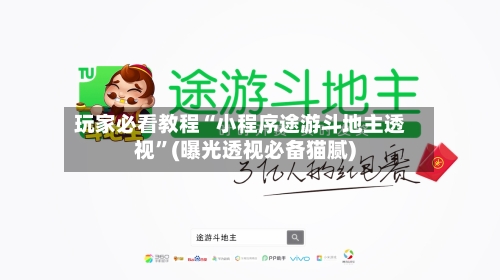 玩家必看教程“小程序途游斗地主透视”(曝光透视必备猫腻)-第2张图片