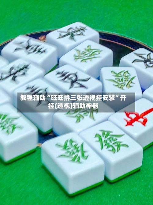 教程辅助“旺旺拼三张透视挂安装”开挂(透视)辅助神器-第3张图片