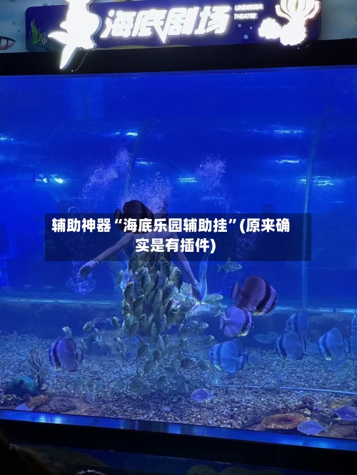 辅助神器“海底乐园辅助挂”(原来确实是有插件)-第2张图片
