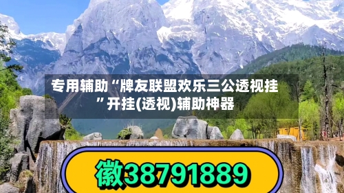 专用辅助“牌友联盟欢乐三公透视挂”开挂(透视)辅助神器-第2张图片