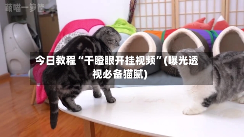 今日教程“干瞪眼开挂视频”(曝光透视必备猫腻)