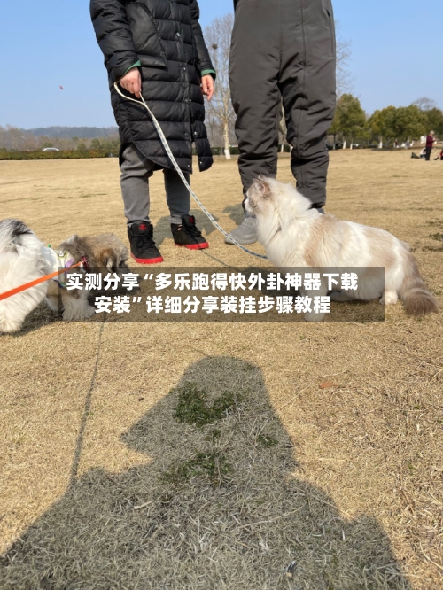 实测分享“多乐跑得快外卦神器下载安装”详细分享装挂步骤教程-第2张图片