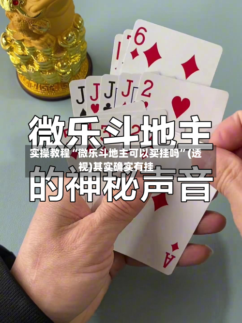 实操教程“微乐斗地主可以买挂吗”(透视)其实确实有挂-第2张图片