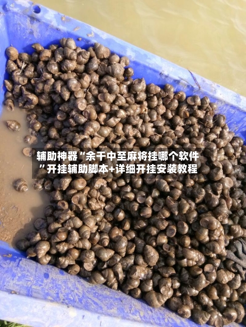 辅助神器“余干中至麻将挂哪个软件”开挂辅助脚本+详细开挂安装教程