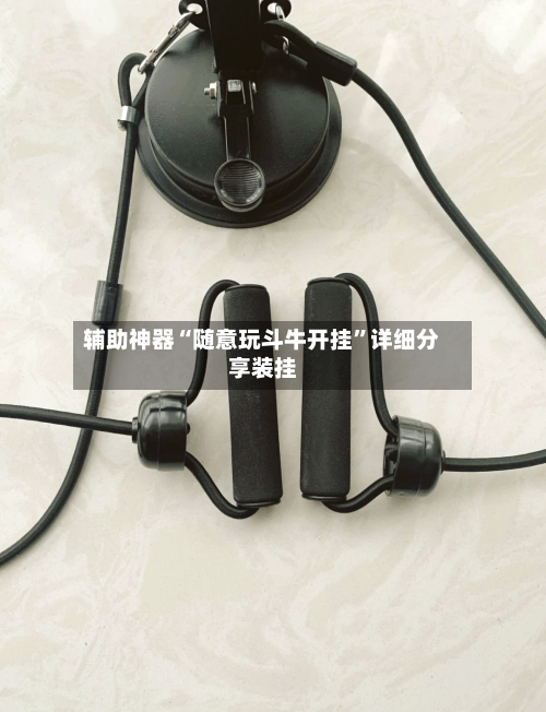 辅助神器“随意玩斗牛开挂”详细分享装挂-第2张图片