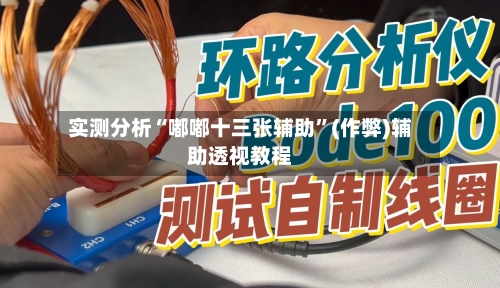 实测分析“嘟嘟十三张辅助”(作弊)辅助透视教程-第2张图片