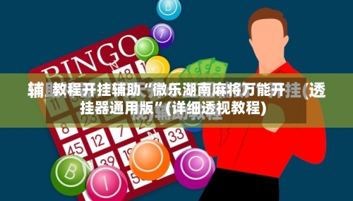 教程开挂辅助“微乐湖南麻将万能开挂器通用版”(详细透视教程)-第2张图片
