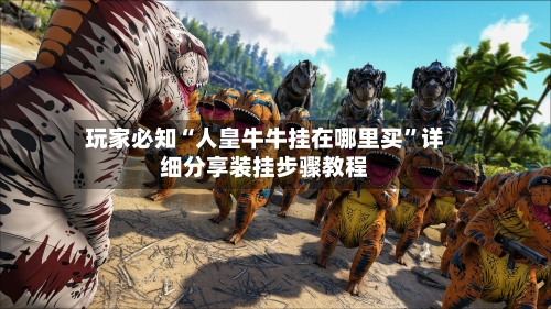 玩家必知“人皇牛牛挂在哪里买”详细分享装挂步骤教程