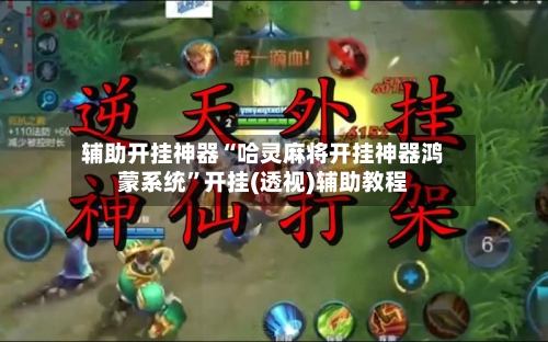 辅助开挂神器“哈灵麻将开挂神器鸿蒙系统”开挂(透视)辅助教程-第3张图片