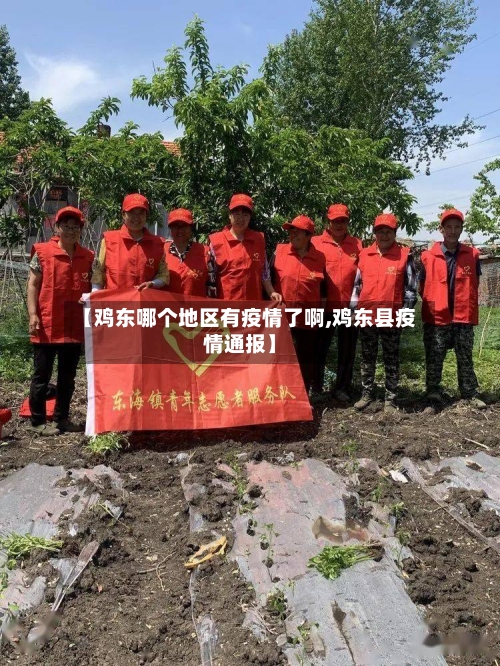 【鸡东哪个地区有疫情了啊,鸡东县疫情通报】-第2张图片