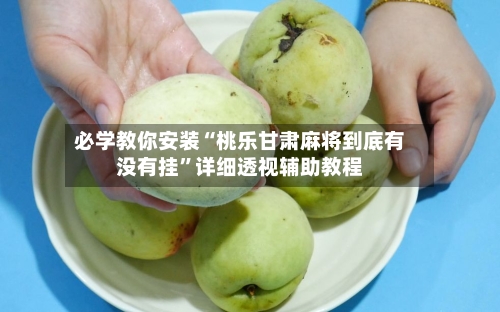 必学教你安装“桃乐甘肃麻将到底有没有挂”详细透视辅助教程-第2张图片