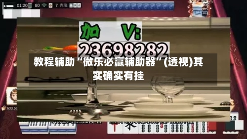 教程辅助“微乐必赢辅助器”(透视)其实确实有挂