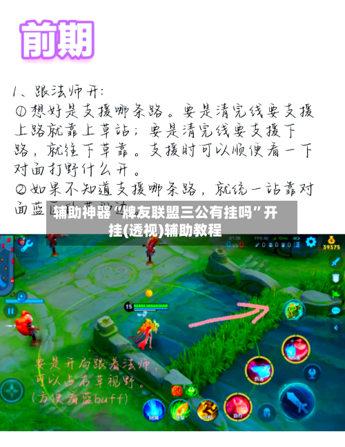 辅助神器“牌友联盟三公有挂吗”开挂(透视)辅助教程