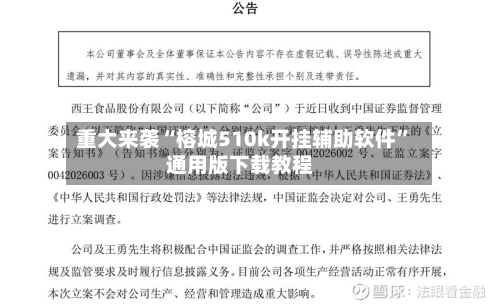 重大来袭“榕城510k开挂辅助软件”通用版下载教程-第3张图片