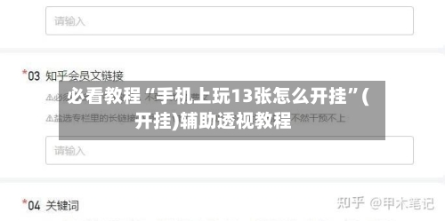 必看教程“手机上玩13张怎么开挂”(开挂)辅助透视教程-第3张图片