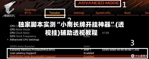 独家脚本实测“小南长牌开挂神器”(透视挂)辅助透视教程-第2张图片