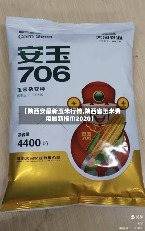 【陕西安最新玉米行情,陕西省玉米费用最新报价2020】-第2张图片