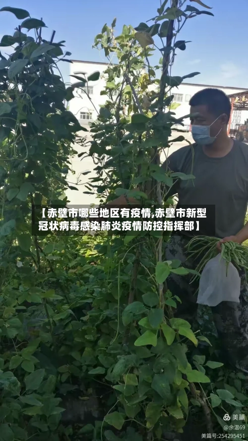 【赤壁市哪些地区有疫情,赤壁市新型冠状病毒感染肺炎疫情防控指挥部】