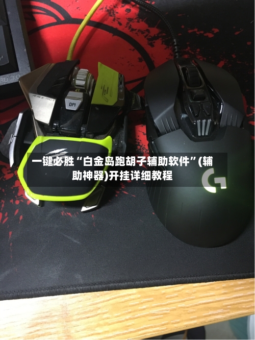一键必胜“白金岛跑胡子辅助软件”(辅助神器)开挂详细教程-第3张图片