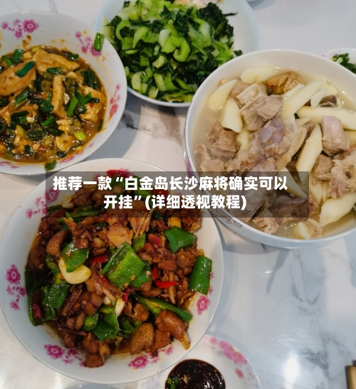 推荐一款“白金岛长沙麻将确实可以开挂	”(详细透视教程)-第2张图片