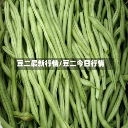 豆二最新行情/豆二今日行情-第2张图片