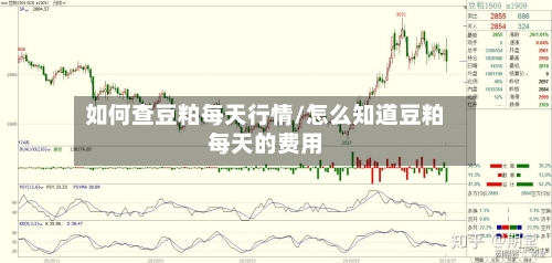 如何查豆粕每天行情/怎么知道豆粕每天的费用-第2张图片