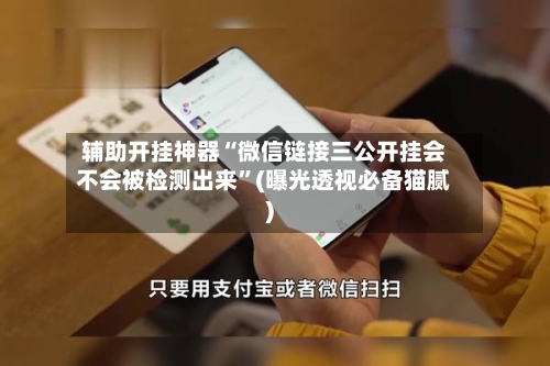 辅助开挂神器“微信链接三公开挂会不会被检测出来”(曝光透视必备猫腻)-第3张图片
